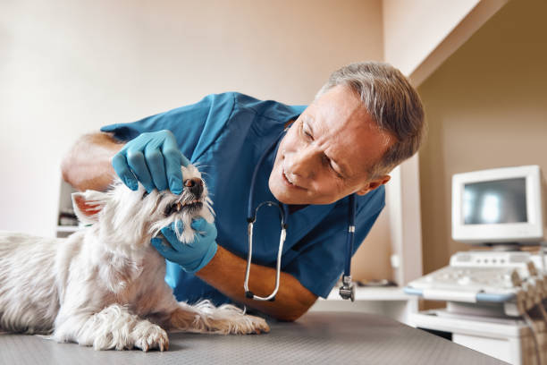 Best Walk-In Emergency Dentist in Audubon, PA