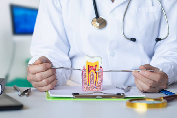 Best Emergency Treatment for Toothache in Audubon, PA
